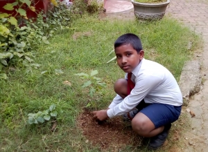 +94 77 174 0985.jpeg