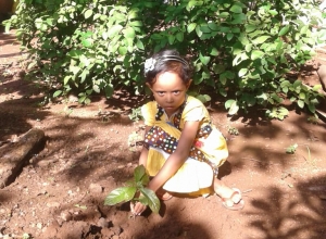 +94 77 202 8901.jpeg