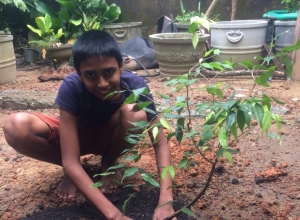 +94 77 217 8828.jpeg