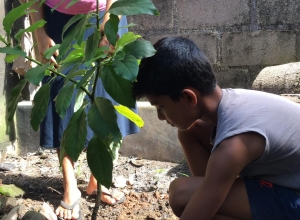 +94 77 229 3185.jpeg