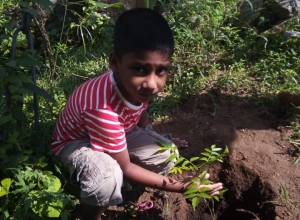 +94 77 264 6407.jpeg