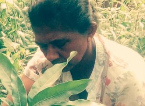 +94 77 294 4975.jpeg