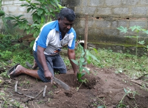 +94 77 313 7436.jpeg