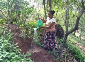 +94 77 326 1101.jpeg