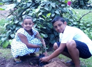 +94 77 366 4199.jpeg