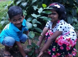 +94 77 366 4199-1.jpeg