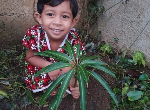 +94 77 375 2775.jpeg