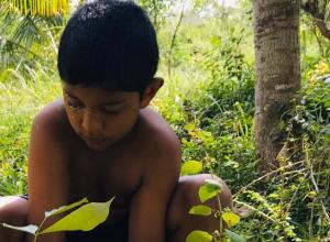 +94 77 646 1920.jpeg