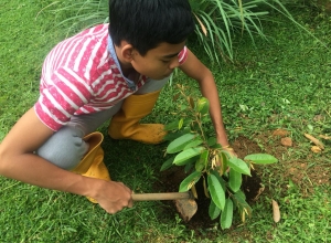 +94 77 706 0761.jpeg