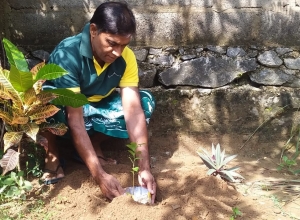 +94 77 724 4081.jpeg