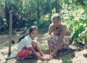 +94 77 918 2521.jpeg