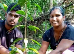 +94 78 203 3146.jpeg