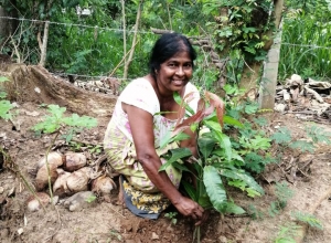 +94 78 376 0196.jpeg