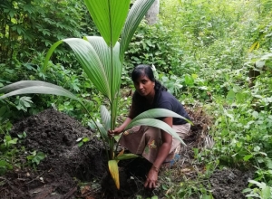 +94 78 546 9655.jpeg