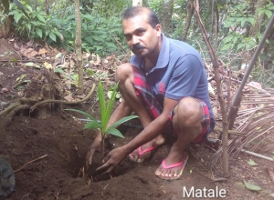 +94 78 675 8581.jpeg