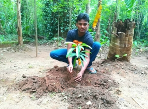 +94 78 768 5724.jpeg