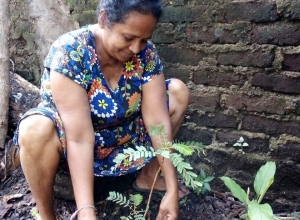 +94 78 941 2388.jpeg