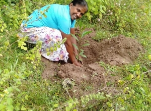 94 71 618 0187-02.jpeg