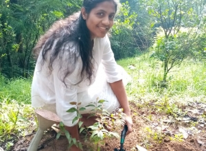 94 75 220 2590-01.jpeg