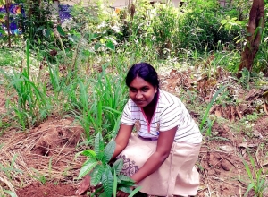 94 76 608 3415-03.jpeg