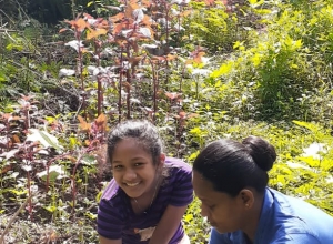 +94 70 167 4433.jpeg