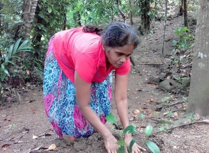 +94 70 200 3804.jpeg