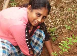 +94 70 205 7003.jpeg