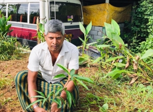 +94 70 213 6691_01.jpeg