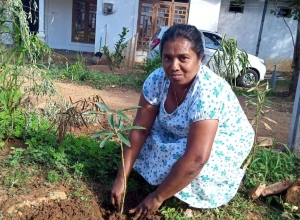 +94 70 225 3883.jpeg