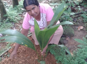 +94 70 301 6883_01.jpeg