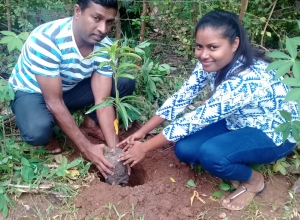 +94 70 331 0531.jpeg