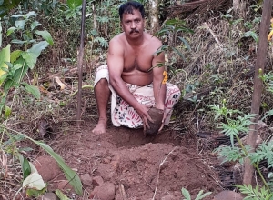 +94 70 405 8117.jpeg