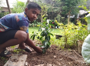 +94 70 406 8409.jpeg