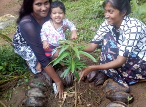 +94 70 530 0295.jpeg