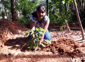 +94 71 168 0041.jpeg