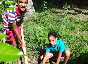 +94 71 223 1604.jpeg