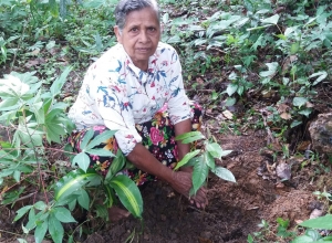 +94 71 256 7464.jpeg