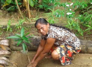 +94 71 313 4985.jpeg