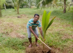 +94 71 446 1109.jpeg