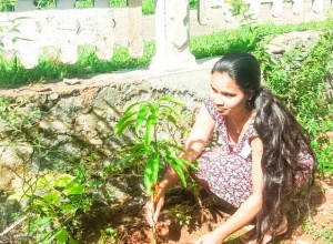 +94 71 454 5365.jpeg