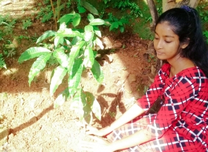 +94 71 599 5167.jpeg