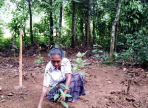 +94 71 659 3250.jpeg