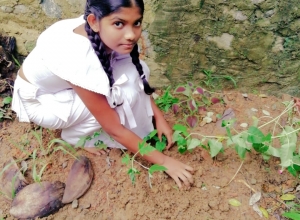 +94 71 661 5825.jpeg