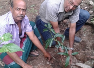 +94 71 857 6578.jpeg