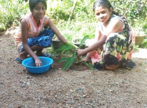 +94 71 908 8436.jpeg