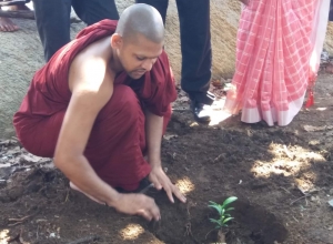 +94 75 287 1102.jpeg