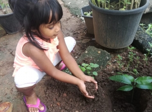 +94 75 528 9170.jpeg