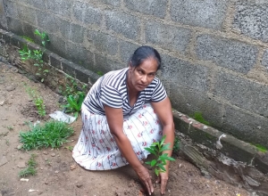 +94 75 835 4609_01.jpeg