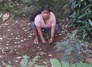 +94 76 591 9087.jpeg