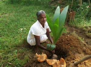 +94 76 736 0608.jpeg